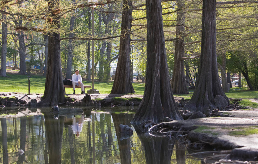 Harrison Arboretum and Botany Pond, United States